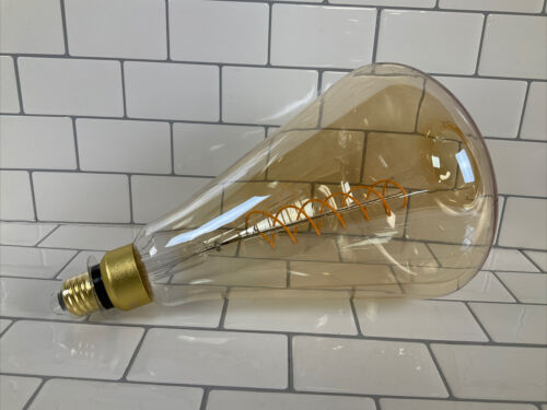 60-Watt Equivalent ST52 Dimmable Spiral Filament Oversized Amber Glass E26 Bulb (6922779918519)