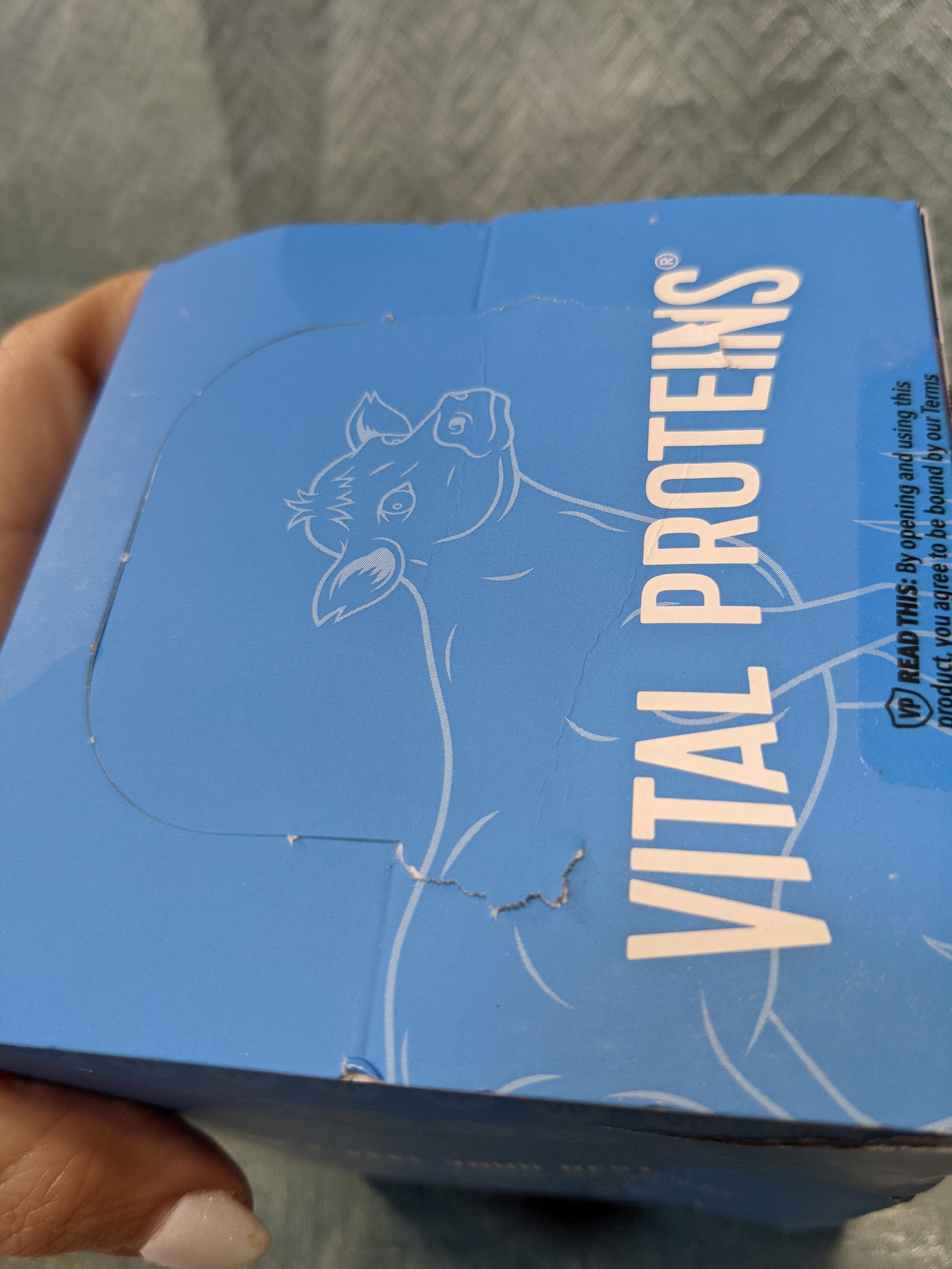 Vital Proteins Collagen Peptides Powder Supplement (Type I, III) Travel Packs, Hydrolyzed Collagen for Skin Hair Nail Joint (7569956995310)