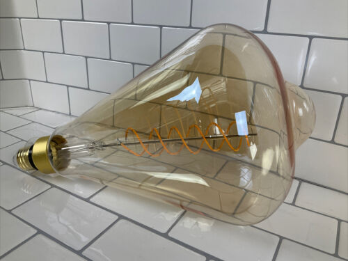 60-Watt Equivalent ST52 Dimmable Spiral Filament Oversized Amber Glass E26 Bulb (6922779918519)