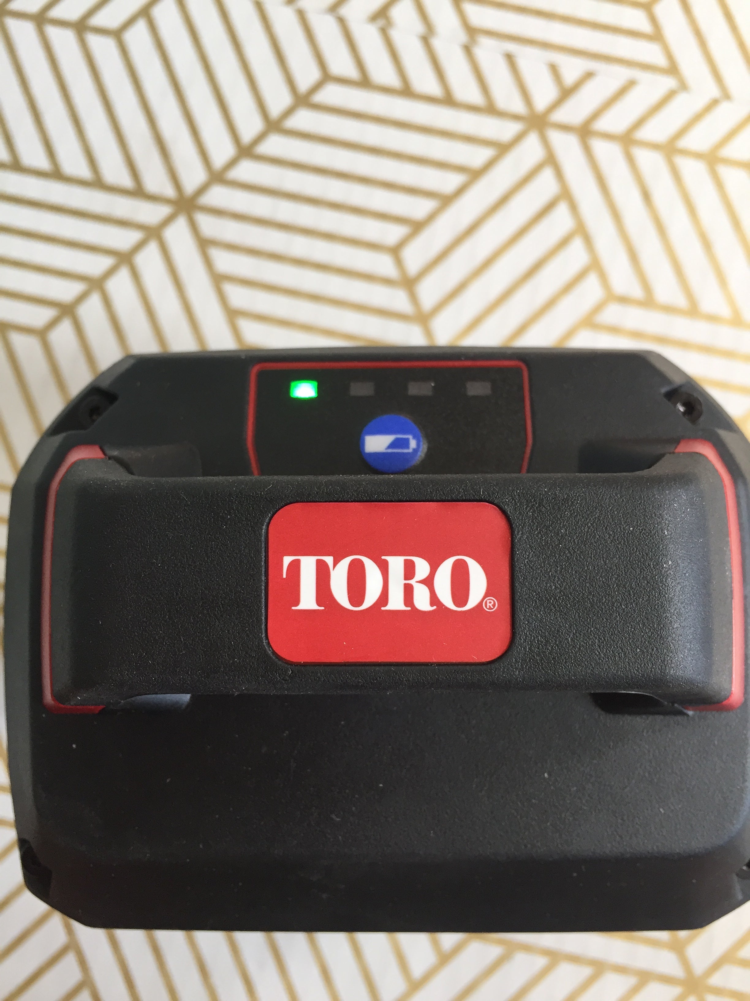 TORO Flex Force L324 Battery Pack 60 Volts 6.0Ah | 88660 (7855506260206)