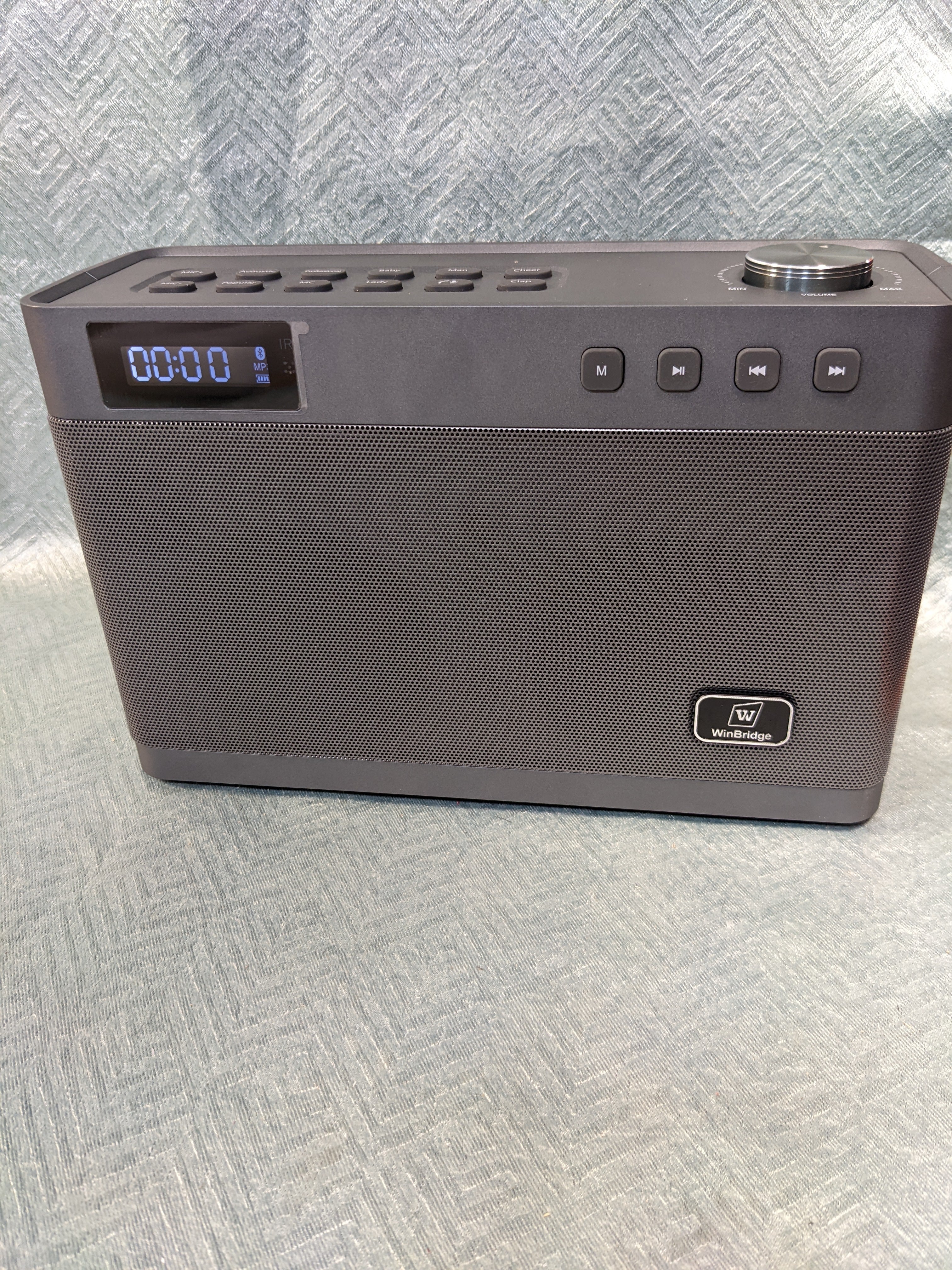 W WINBRIDGE Karaoke Machine with Wireless Microphone, Bluetooth Portable PA Speaker System Built in Soundcard Remote Control with Guitar Input (7591830028526)