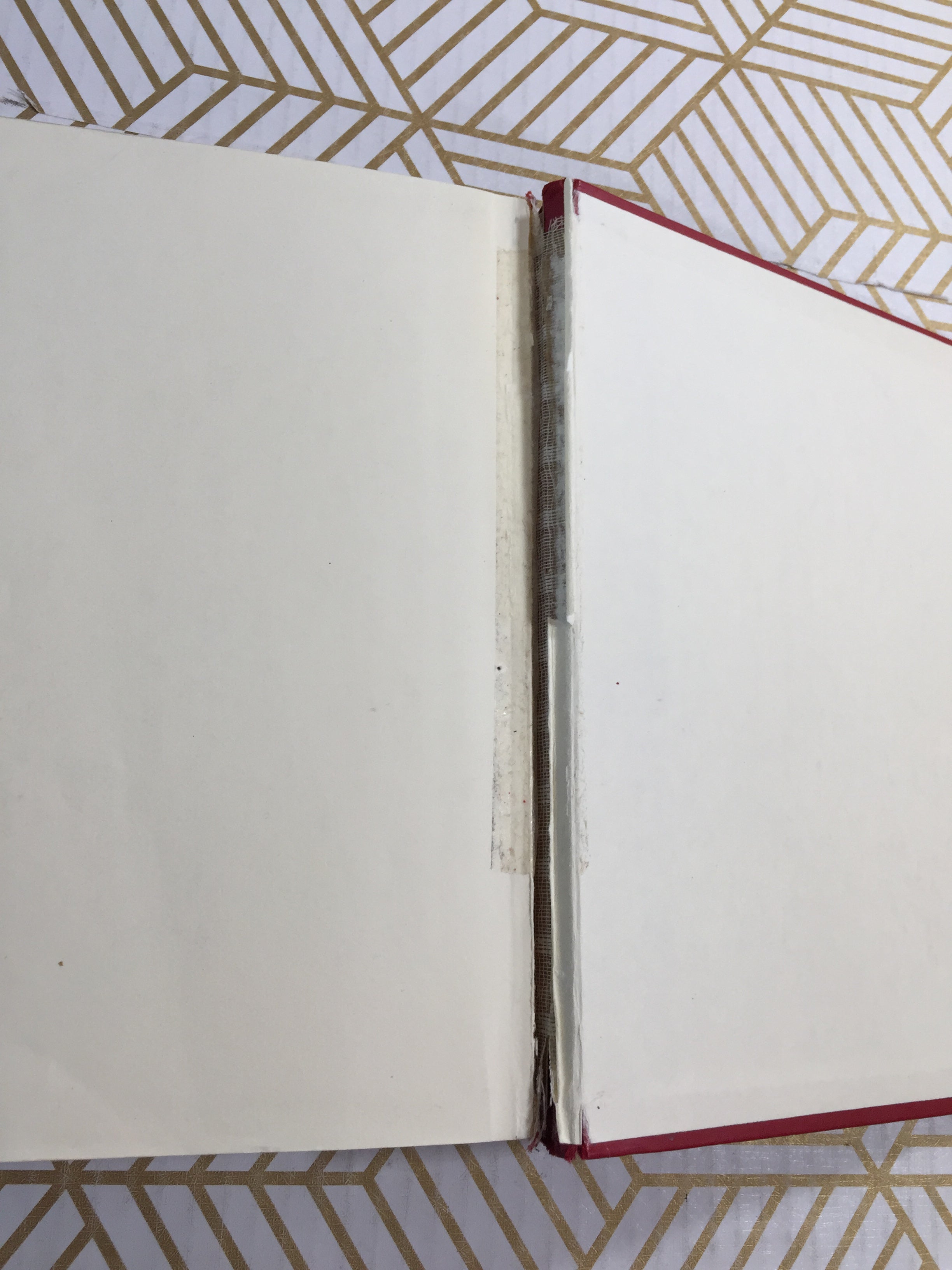 Administrative Law and Regulatory Policy: Problems, Text, & Cases (7882005938414)